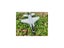 CSOC 2.4Ghz RC Plane RC Aircraft RC Airplane Remote Control Foam Glider RC Carousel 4