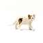 Schleich American Short hair Cat Carousel 4