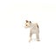 Schleich American Short hair Cat Carousel 8