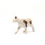 Schleich American Short hair Cat Carousel 10
