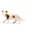 Schleich American Short hair Cat Carousel 15
