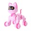 Kids Remote Control Robot Cat Carousel 1