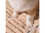 HOOPET Dog Bed Padded Cushion For Small Big Dogs Sleeping Beds And Houses For Carousel 5