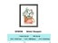 Cotton Bouquet Cross Stitch Kit Flower Package Aida 18ct 14ct Unprint Canvas Carousel 1