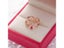Korea New Exquisite Crystal Flower Ring For Female Jewelry Carousel 4