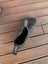 Blundstones 510 size 10 Carousel 5