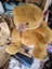 Teddy bear Carousel 1
