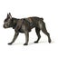 Loading Image 1 of 3