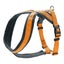 Loading Image 1 of 2