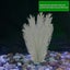 Aquarium Decorations Fish Tank Artificial Green Water Plants Made Of Silk Fabric Carousel 2