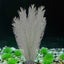 Aquarium Decorations Fish Tank Artificial Green Water Plants Made Of Silk Fabric Carousel 3