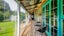 gallery view thumbnail