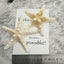 10Pcs Dried Starfish Beach Craft Wedding Party Home Decor Hanging Ornaments Carousel 6