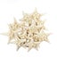 10Pcs Dried Starfish Beach Craft Wedding Party Home Decor Hanging Ornaments Carousel 8