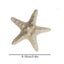 10Pcs Dried Starfish Beach Craft Wedding Party Home Decor Hanging Ornaments Carousel 9
