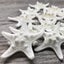 10Pcs Dried Starfish Beach Craft Wedding Party Home Decor Hanging Ornaments Carousel 10