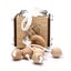 Wooden Montessori Educational Toy Training Lock Box Busy Cube Training Learning Carousel 11