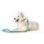 Dog Lead By Hunter Hilo Turquoise 200 cm Carousel 4