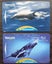 Vintage NZ Marine Mammals Phonecard Set – Dolphin & Whale – Telecom Collectibles Carousel 1