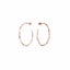 Women Earrings By Rosefield JtwhrJ094 Stainless Steel 2 cm Carousel 1