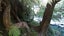 gallery view thumbnail