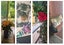 gallery view thumbnail