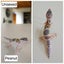 Baby Leopard Geckos Carousel 7