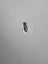 Doors (used) 2x Carousel 6