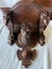 Circa 1960's Lindenwood Black Forest Wolf Head Wall Bracket Carousel 19