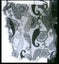$1NR CUTE GREY PATTERN SCARF Carousel 1