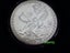 NZ Mint Tiger 1 Oz silver bullion coin in capsule Carousel 1