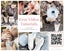 DIY Baby Hands & Feet Casting Kit - by Hamilton Lifecasting Studio Carousel 8