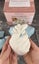 DIY Baby Hands & Feet Casting Kit - by Hamilton Lifecasting Studio Carousel 10