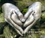 DIY Baby Hands & Feet Casting Kit - by Hamilton Lifecasting Studio Carousel 15