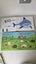 4x BABIES FIRST BOARD BOOKS - lift the flap / touch & feel etc Carousel 3