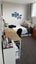 gallery view thumbnail