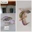 Baby Leopard Geckos Carousel 8