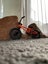 Tech Deck BMX and dirt jumps Carousel 5