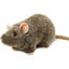 Loading Image 1 of 6
