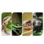 50-200W Black Emitter Lamp Ceramic Brooder Infrared Light Reptile Incubator Heat Carousel 4