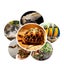 50-200W Black Emitter Lamp Ceramic Brooder Infrared Light Reptile Incubator Heat Carousel 7