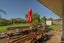 gallery view thumbnail