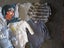 9 x size 3-6 months long sleeve bodysuits, domed crotch Carousel 2