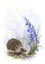 Hedgehog Art Print (A4) Carousel 1