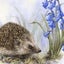 Hedgehog Art Print (A4) Carousel 2
