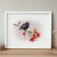 NZ Robin & Pohutukawa Print - Kiwiana Art (A4) Carousel 4