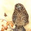 NZ Art Print - Ruru Owl Carousel 2