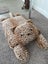Dog Bed Carousel 1