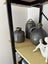 Glazed Ceramic Vases Pots (set of 3) Carousel 2