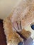 Large (58cm) Vintage Teddy Bear with Moveable Limbs Carousel 5